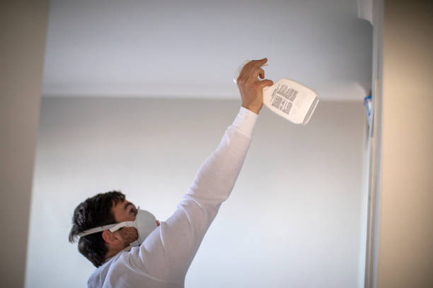 Best DIY Mold Remediation Support Services in Wilson, NC