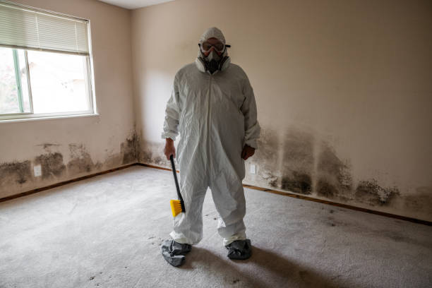 Best Residential Mold Remediation in Wilson, NC